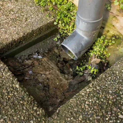 Blocked Drains in Eden Blocked Drains in Eden